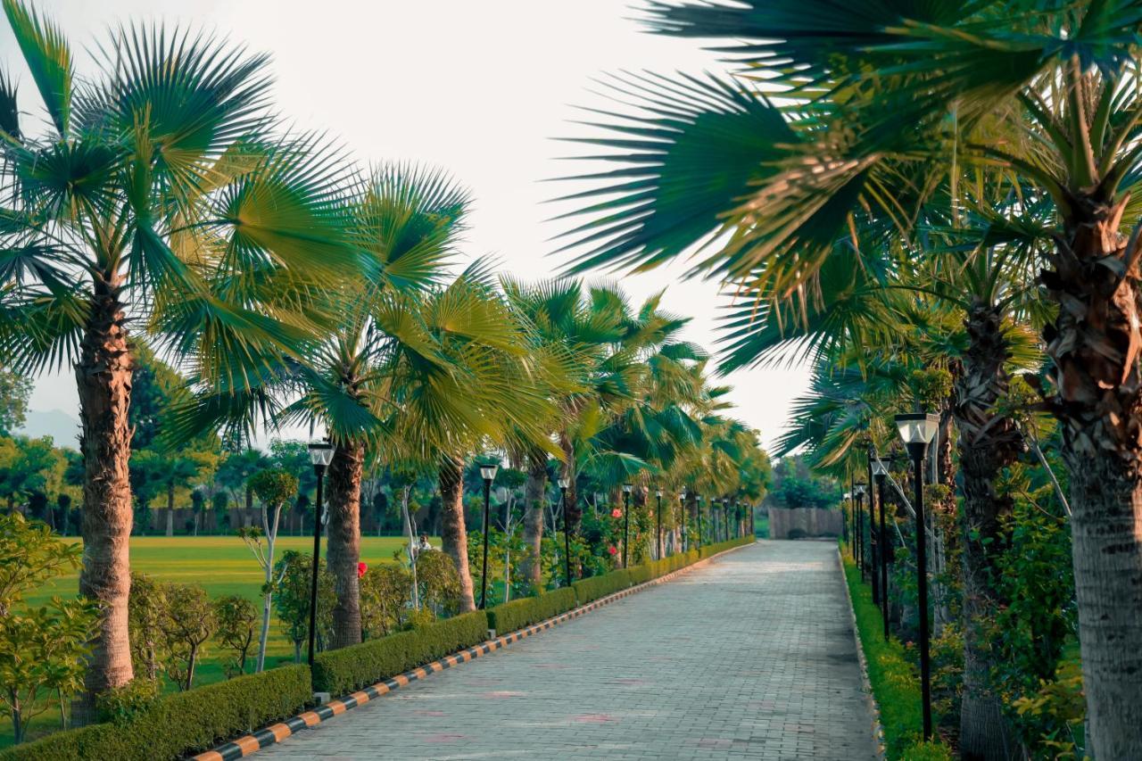 Pride Resort & Convention Center Ranakpur Near Ranakpur Dam Sādri Exterior foto